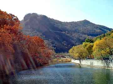 新澳天天开奖资料大全旅游团，丁二烯价格